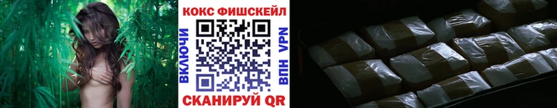 Магазины продажи наркотиков Карачаевск Кокаин  MDMA  МАРИХУАНА  ГАШИШ  Alpha-PVP 