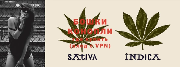Альфа ПВП Верея