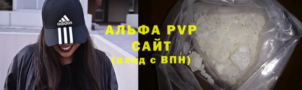 Альфа ПВП Верея