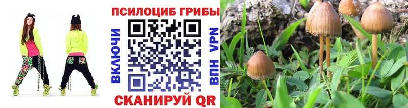 Галлюциногенные грибы прущие грибы Карачаевск